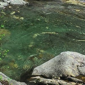 Meet your Posher, Alix